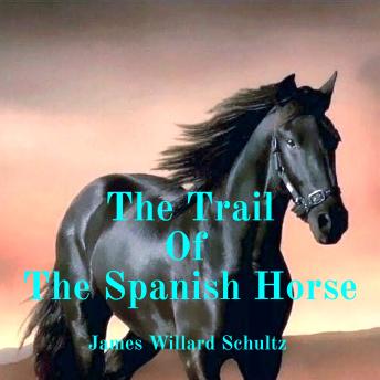The Trail of the Spanish Horse
