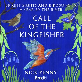 Call of the Kingfisher: Bright sights and bird song in a year by the river