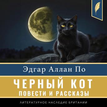 Black Cat (Compilation of short stories) [Russian Edition] - Edgar Allan Poe
