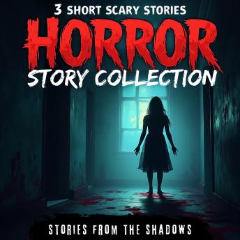 Horror Story Collection. 3 Short Scary Stories: A Bone-Chilling Anthology of Paranormal Terror, Supernatural Suspense &  Dark Mysteries