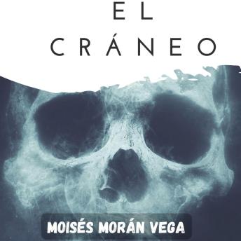 [Spanish] - El cráneo