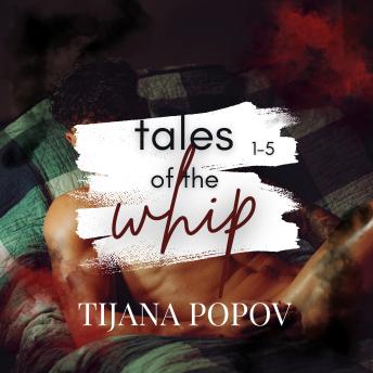 Tales of the Whip 1-5: A gay, BDSM romance collection (book set)