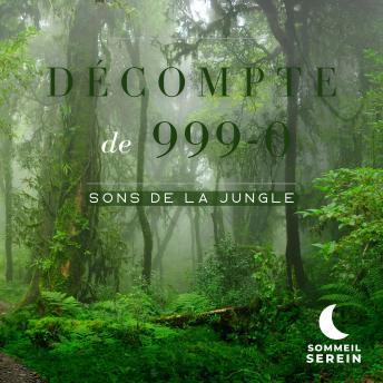 [French] - Décompte de 999-0: Sons de la jungle