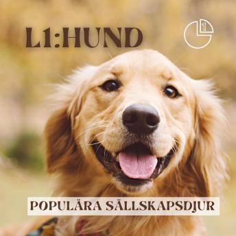 [Swedish] - Hund: Populära sällskapsdjur