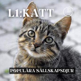 [Swedish] - Katt: Populära sällskapsdjur