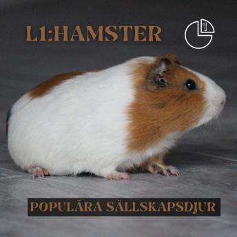 [Swedish] - Hamster: Populära sällskapsdjur