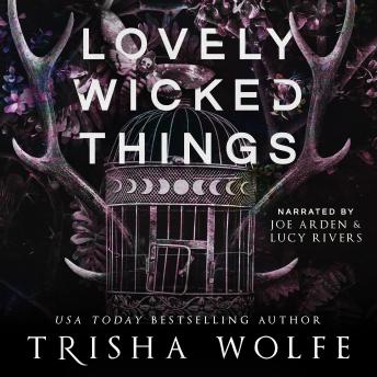 Download Lovely Wicked Things by Trisha Wolfe