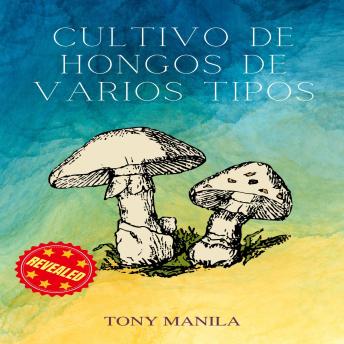 Cultivo De Hongos De Varios Tipos: La Guía Completa