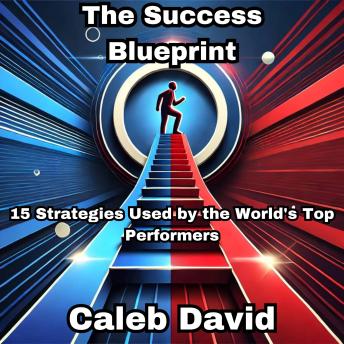 The Success Blueprint: 15 Strategies Used by the World's Top Performers
