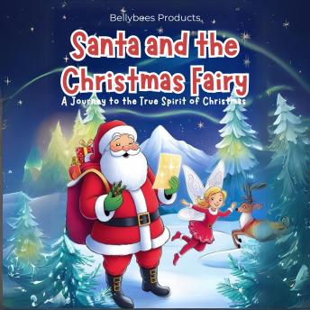 Santa and the Christmas Fairy