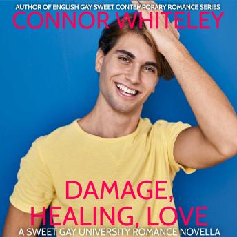 Damage, Healing, Love: A Sweet Gay University Romance Novella