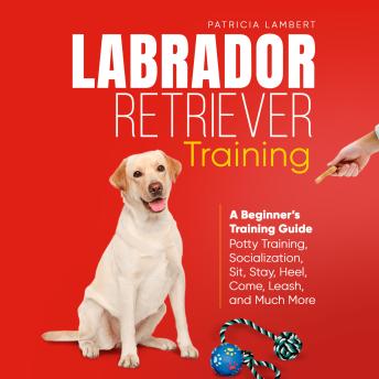 Labrador Retriever Training: A Beginner’s Training Guide - Potty Training, Socialization, Sit, Stay, Heel, Come, Leash, and Much More