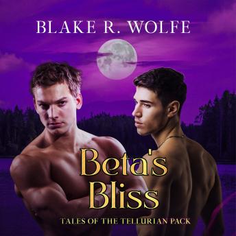 Download Beta's Bliss: MM Wolf Shifter Romance by Blake R. Wolfe