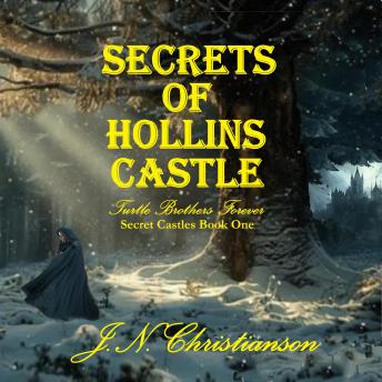 Secrets of Hollins Castle: Turtle Brothers Forever