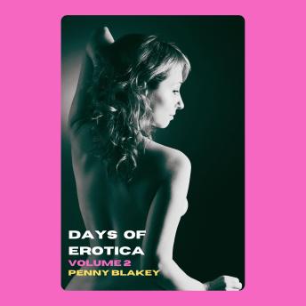 Days of Erotica: Volume 2