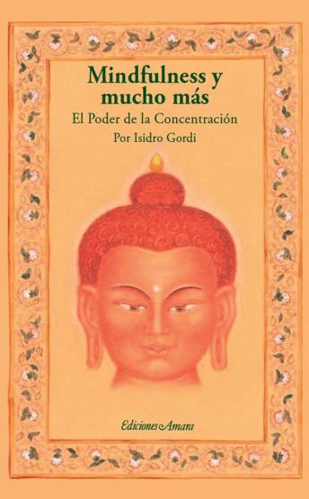 Mindfulness y mucho más: El poder de la concentración