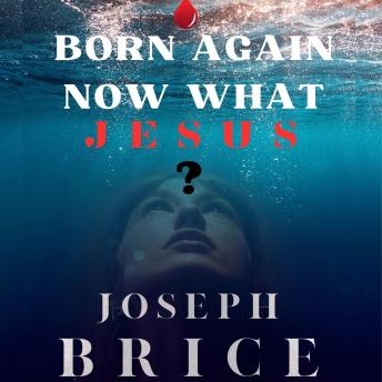 Born Again Now What? Jesus: Begin Again