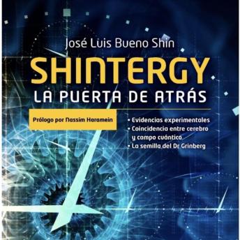 SHINTERGY: La Puerta de Atrás