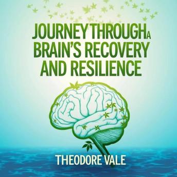 Journey Through a Brain's Recovery and Resilience: 'Unlock Recovery Brilliance! Dive into Audio Lessons for Optimal Brain Resilience and Renewal.'