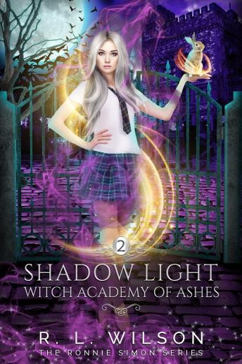 Shadow Light: A Reverse Harem Academy Paranormal Romance