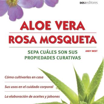 [Spanish] - Aloe vera, Rosa mosqueta: Sepa cuáles son sus propiedades curativas