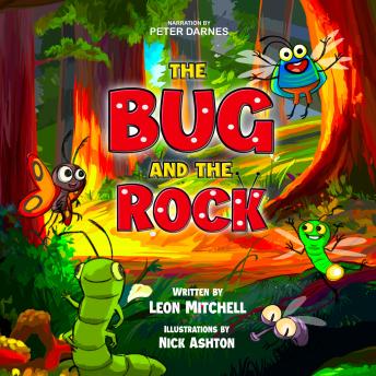 The Bug and the Rock