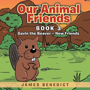 Our Animal Friends: Gavin the Beaver - New Friends: Book 3