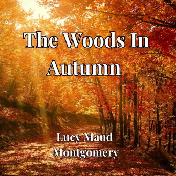 The Woods In Autumn: An essay on the wonders of the woods