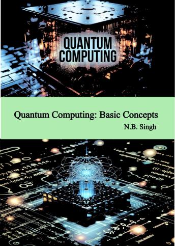Quantum Computing: Basic Concepts