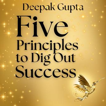 5 Principles To Dig Out Success: The Rules of Starting, Roller coaster, Visibility, Stickiness, & Interstices