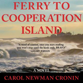 Ferry to Cooperation Island: A Novel