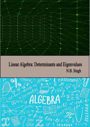 Linear Algebra: Determinants and Eigenvalues