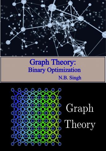 Graph Theory: Binary Optimization
