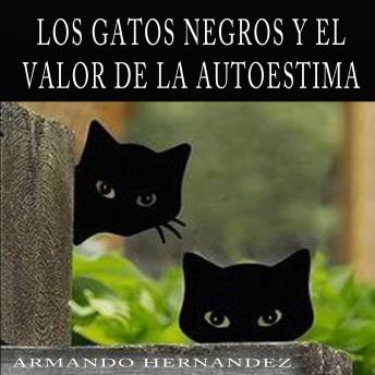 Cuento 4 Los gatos negros y el valor de la autoestima