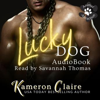 Lucky Dog