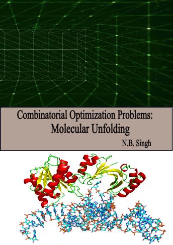 Combinatorial Optimization Problems: Molecular Unfolding