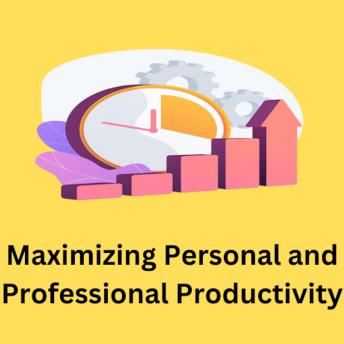 Download Maximizing Personal and Professional Productivity: Improvement for all by Abdul Rahim Khurram