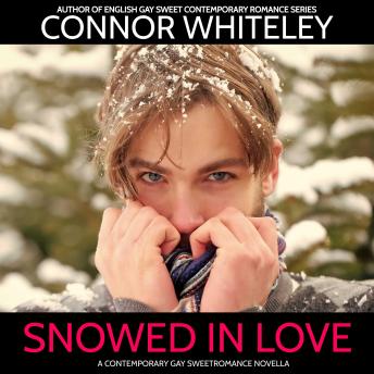 Snowed In Love: A Gay Sweet Contemporary Romance Novella