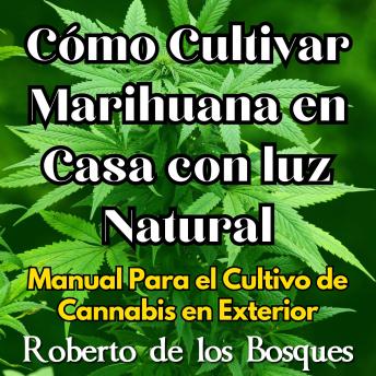 Cómo Cultivar Marihuana en Casa con luz Natural: Manual Para el Cultivo de Cannabis en Exterior