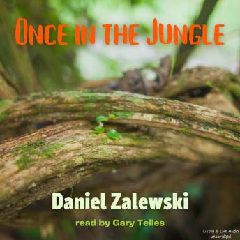 Download Once In The Jungle by Daniel Zalewski