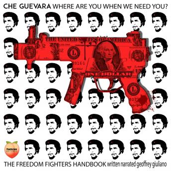 Download Che Guevara Where are you When we Need You? by Geoffrey Giuliano