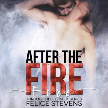 Download After the Fire: Through Hell And Back Volume 2 by Felice Stevens