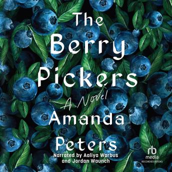 Download Berry Pickers by Amanda Peters