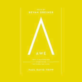 Awe: Why It Matters for Everything We Think, Say, and Do