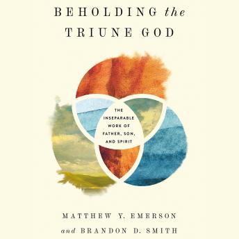 Beholding the Triune God: The Inseparable Work of Father, Son, and Spirit