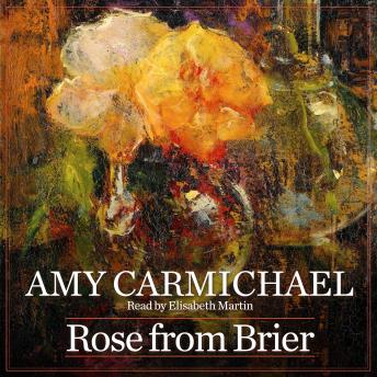 Rose from Brier