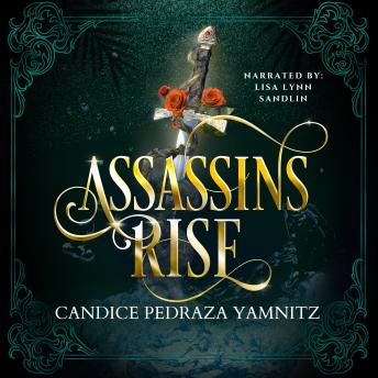 Assassins Rise