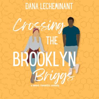 Crossing the Brooklyn Briggs: A Sweet Romantic Comedy
