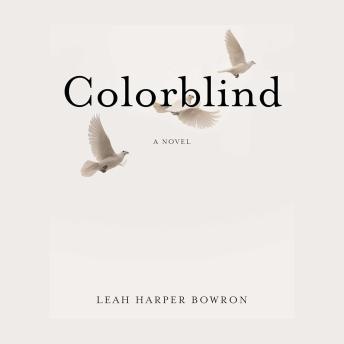 Colorblind: A Novel
