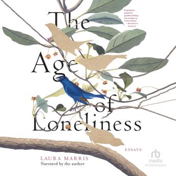 The Age of Loneliness: Essays